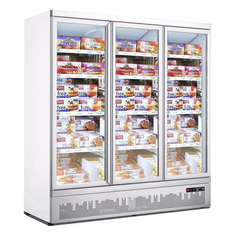 Koelkast met dubbele deur, gla - Commercial Chest Freezer recensie en prijs